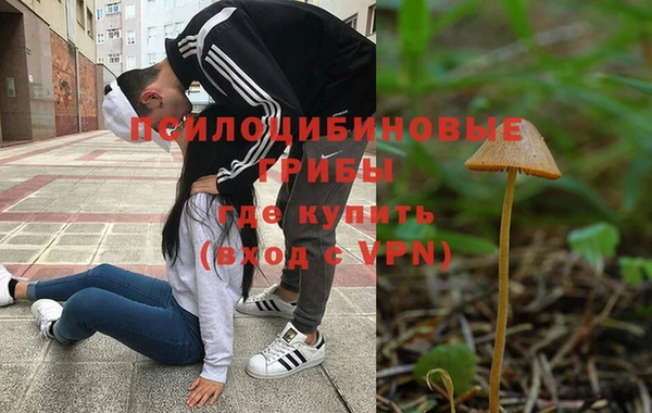 молекула духа Володарск