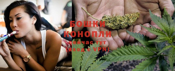 молекула духа Володарск
